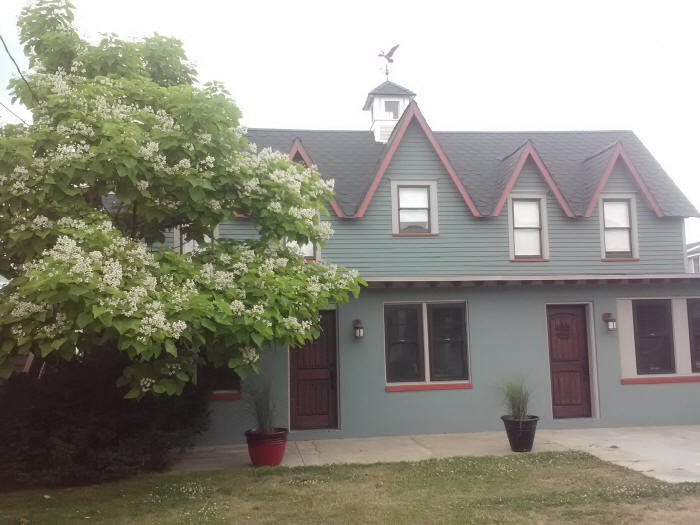 Sea Gypsy Inn carriage house catalpa tree blooming